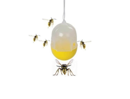 Wasp, Hornet & Insect Fly Trap Hanging Catcher